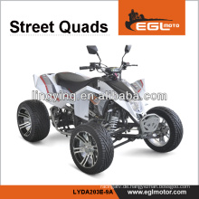 EEC 250cc atv Rennen